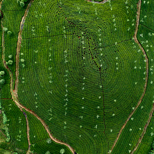 Editions by Rakesh Pulapa