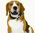 DookDeek