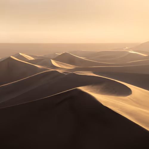 FIFM  | Focus Pirate