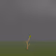 My Pet Tree
