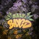 Half BAYCD