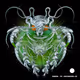 Jappari Bugs in Wonderland