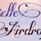 Belleshe arts
