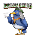 KatsuBluebird Collection