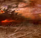 Apocalypse Rising