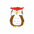 OWL AGA