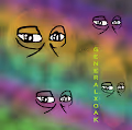 GROYPERS COLLECTION