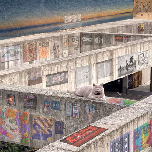 The Gray Guard of Memes v1 by @ArtographyEth and @Salvamea_nft