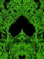 The Green Monster