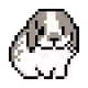CryptBunny -for rabbit owners-