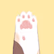 Kitten paw