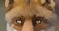 Fox world 1 - old
