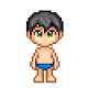 MiniPixs