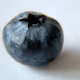 Bitberries