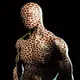 The Human Artist