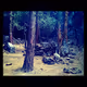 Photos In Time By Artist TJC