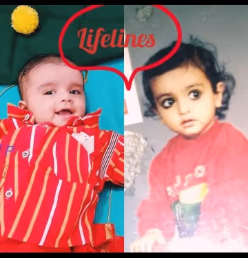 AltcoinPeerless Collection