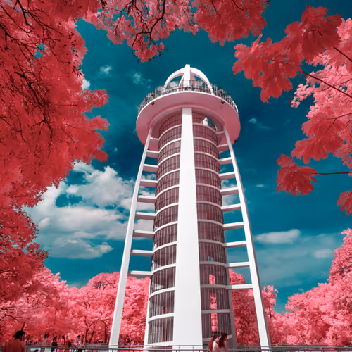 False Colours - Beyond the Reds (IR Photography)