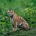 Colors of Kabini