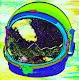 The DIstressed Spacemen