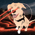 Joseph The Dog Collection