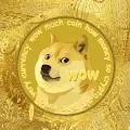 CollectDoge