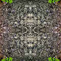 Matrix Fractals: ascention, healing, starseed, fairy, magic, frequency shift