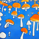 Mushrooms invade our world.