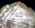 Diamond Inclusion - old