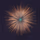 Pluriverse