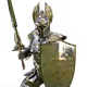 Falcon Warrior Angel