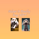 Adopt A Poochy Pup
