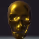 Skull collections - old