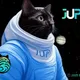 Jupiverse Swag 4