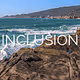 Inclusion