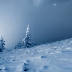 RESILIENCE by Mikko Lagerstedt