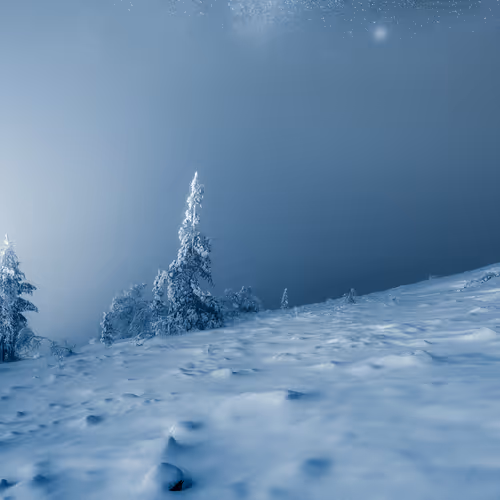 RESILIENCE by Mikko Lagerstedt