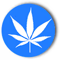 Marijuana V2