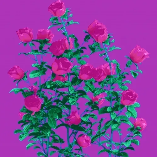 made these for your girl by Alpha Centauri Kid