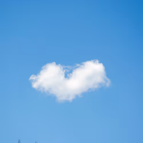 Heather N. Stout - Wild and Free