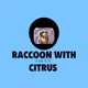 Raccoon with citrus fruits