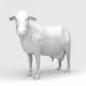Royalty Free Cows
