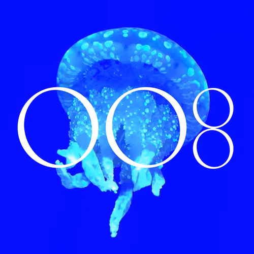 WAVE ARCHIVE PROJECT