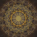 Circles in the Dark