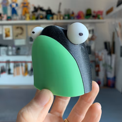 Fly Frog Physicals