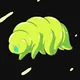Running water bear
