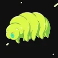 Running water bear