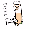 Long long cat item and Art