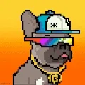 CrypDogz