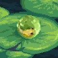 Toadkids
